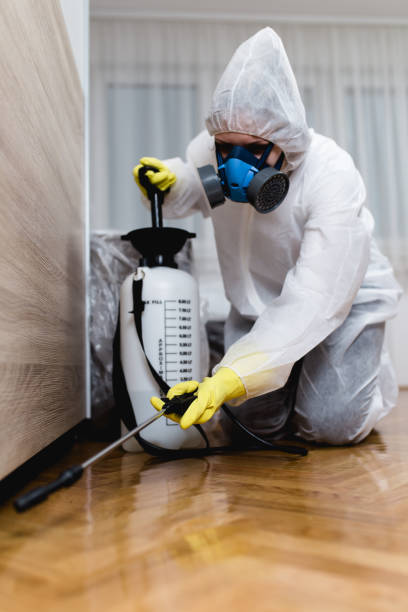 Best Fumigation Services  in Eastwood, LA